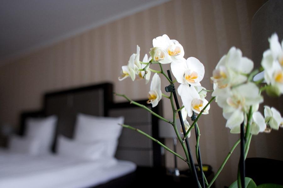 Top Hotel Kraemer Koblenz  Room photo